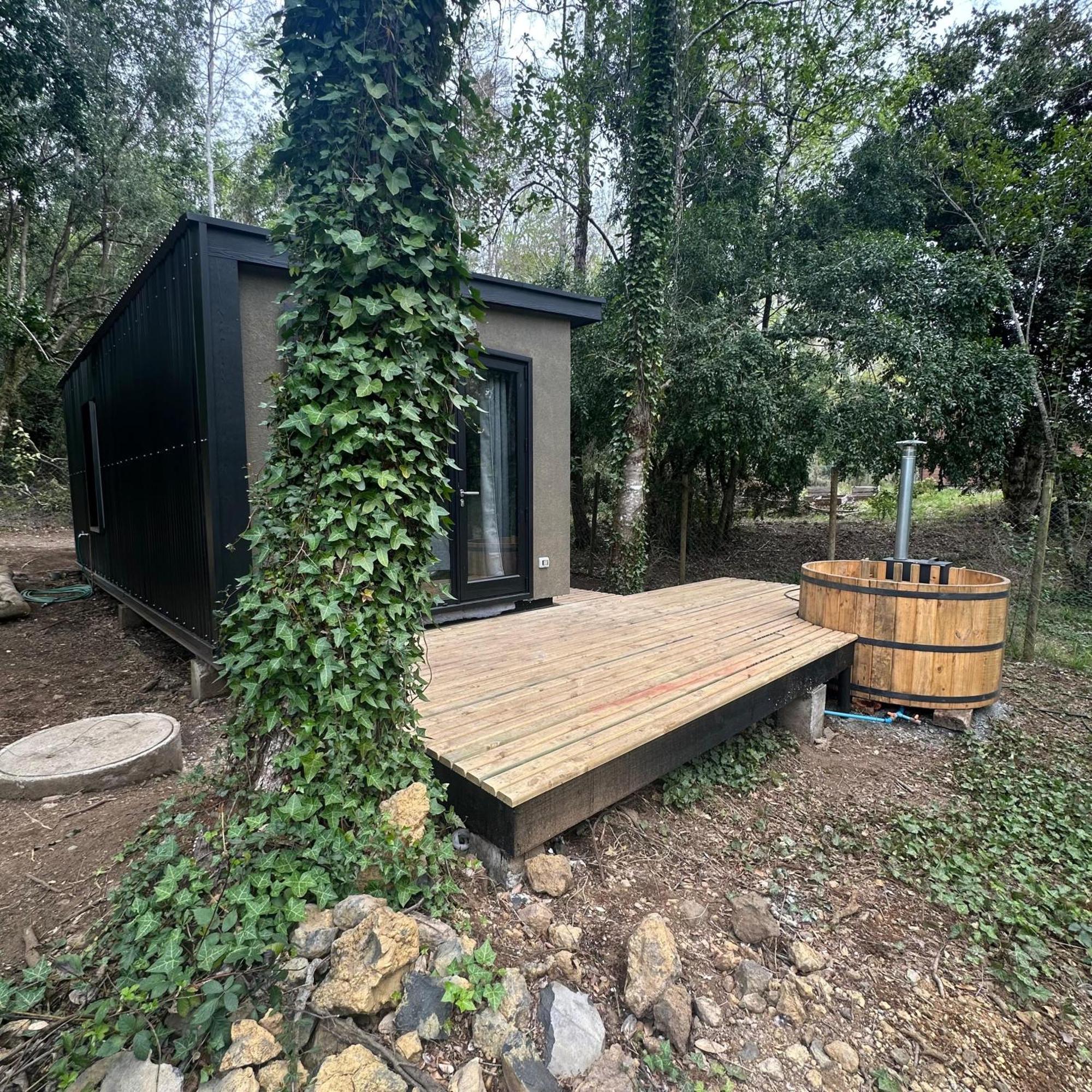 Ketrawe Apartment Pucon